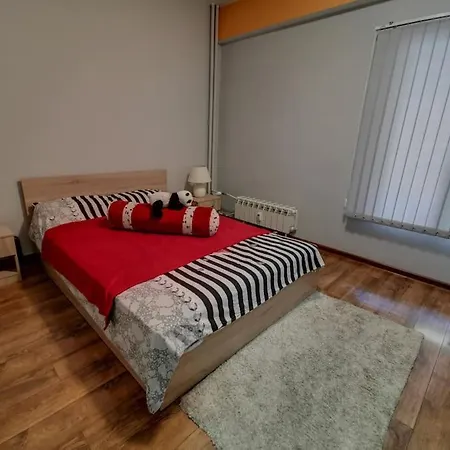 Cozy Near The Air Port Apartment *
